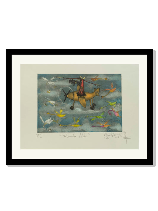 "Volando Alto" Colores