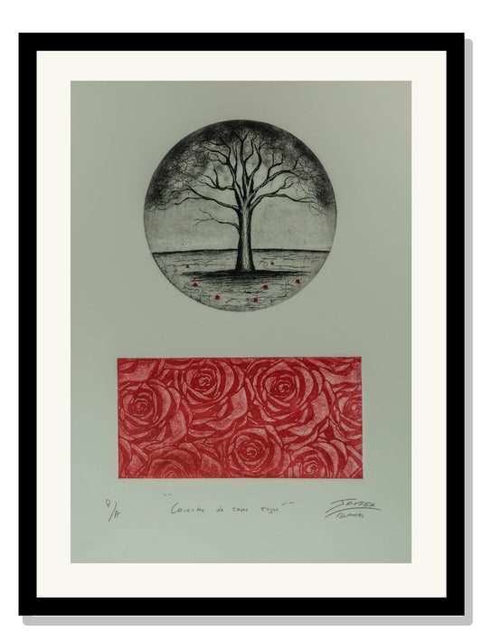 "Cosecha de rosas rojas"