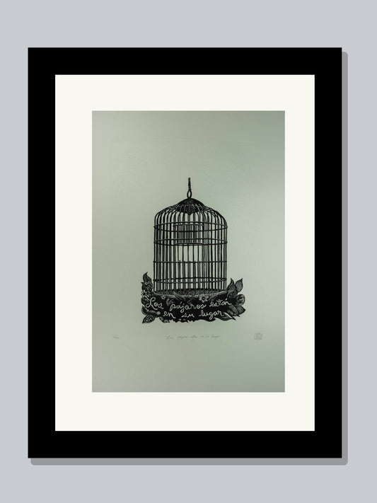 "Los pájaros están en su lugar"