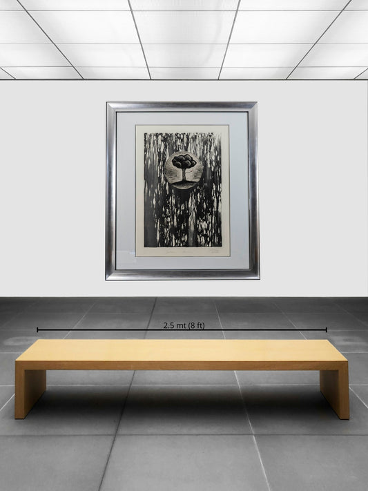 "Solitario nocturno"