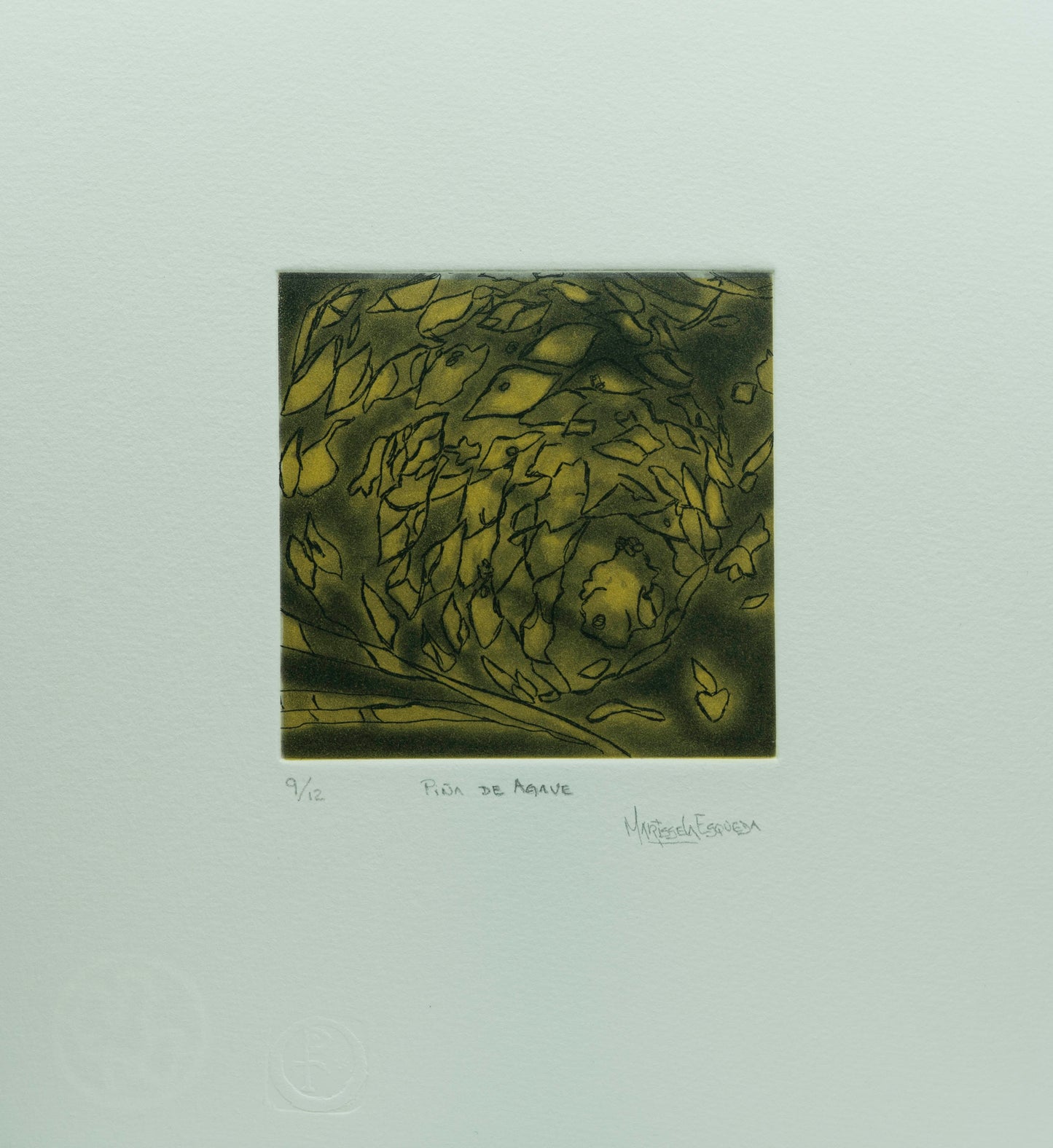 "Piña de agave"