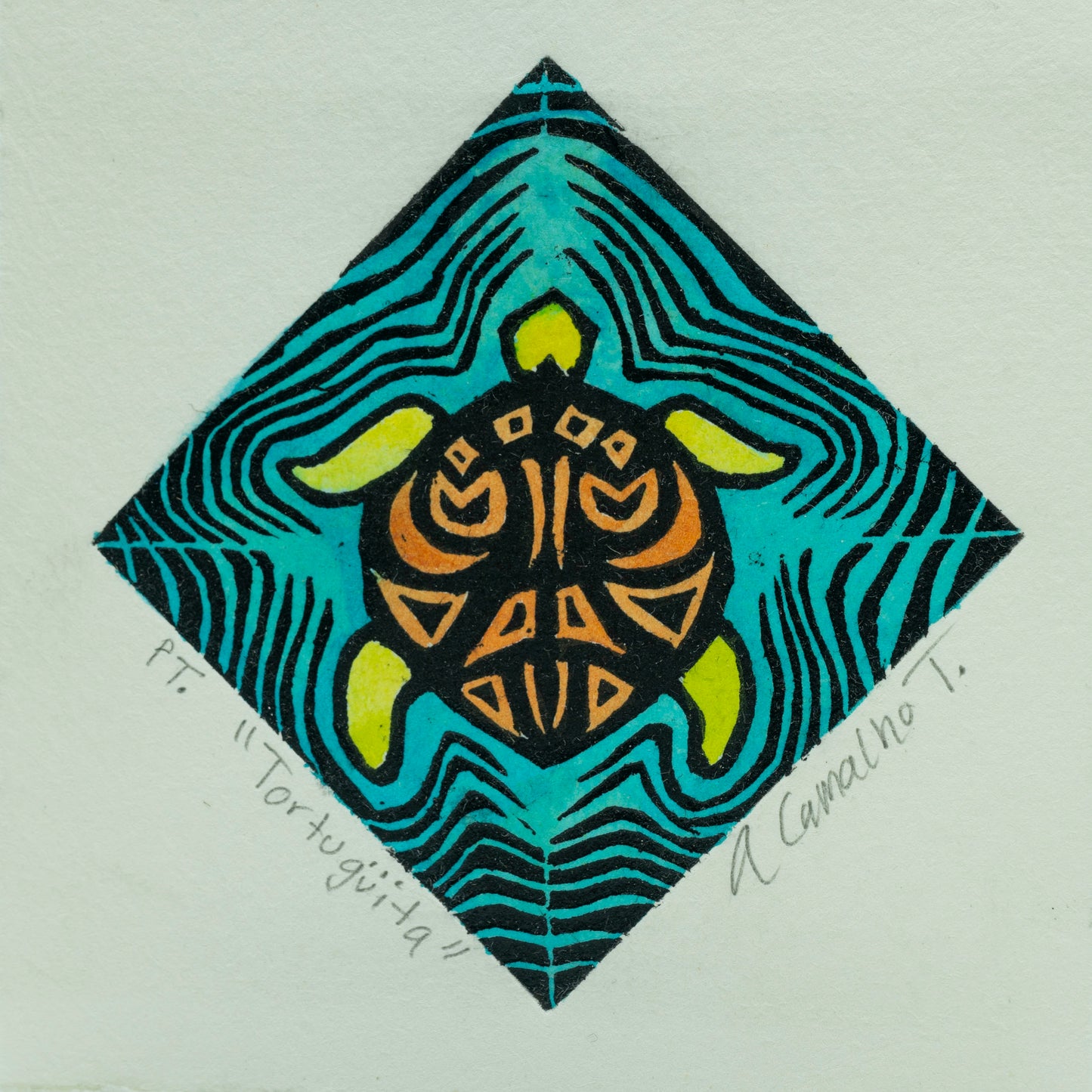 "Tortuguita" Color Aqua