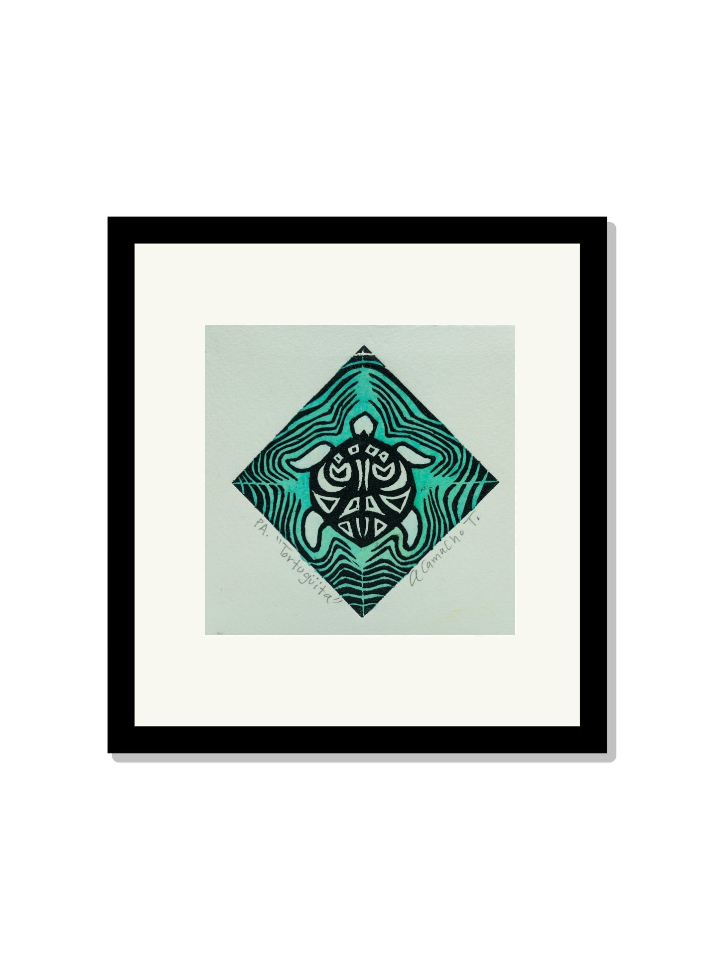 "Tortuguita" Color turquesa