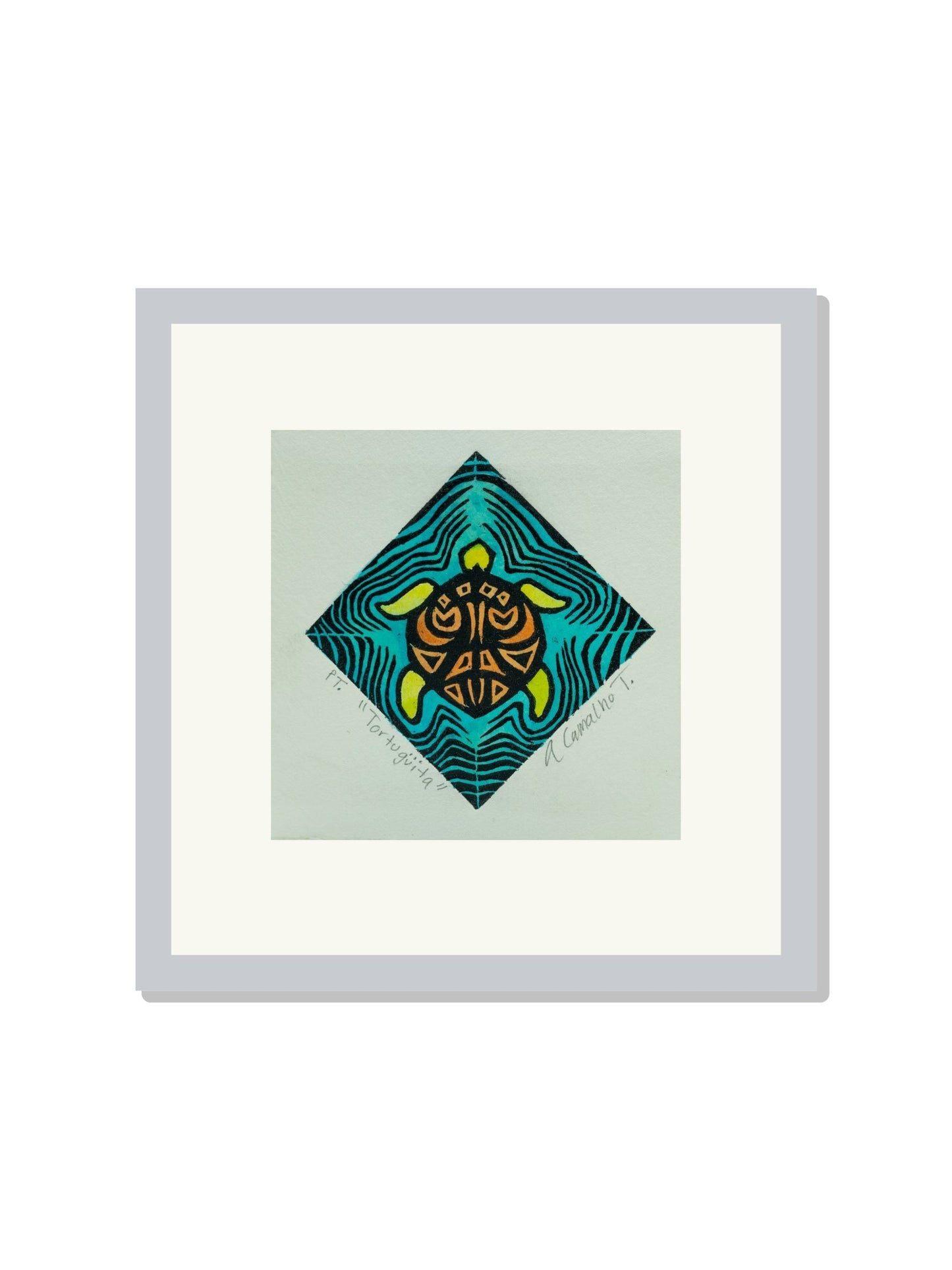"Tortuguita" Color Aqua