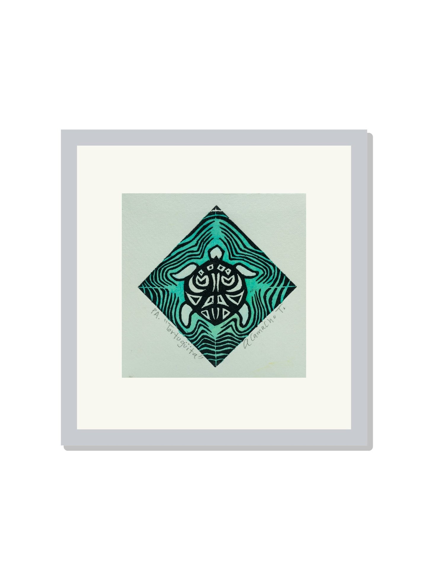 "Tortuguita" Color turquesa