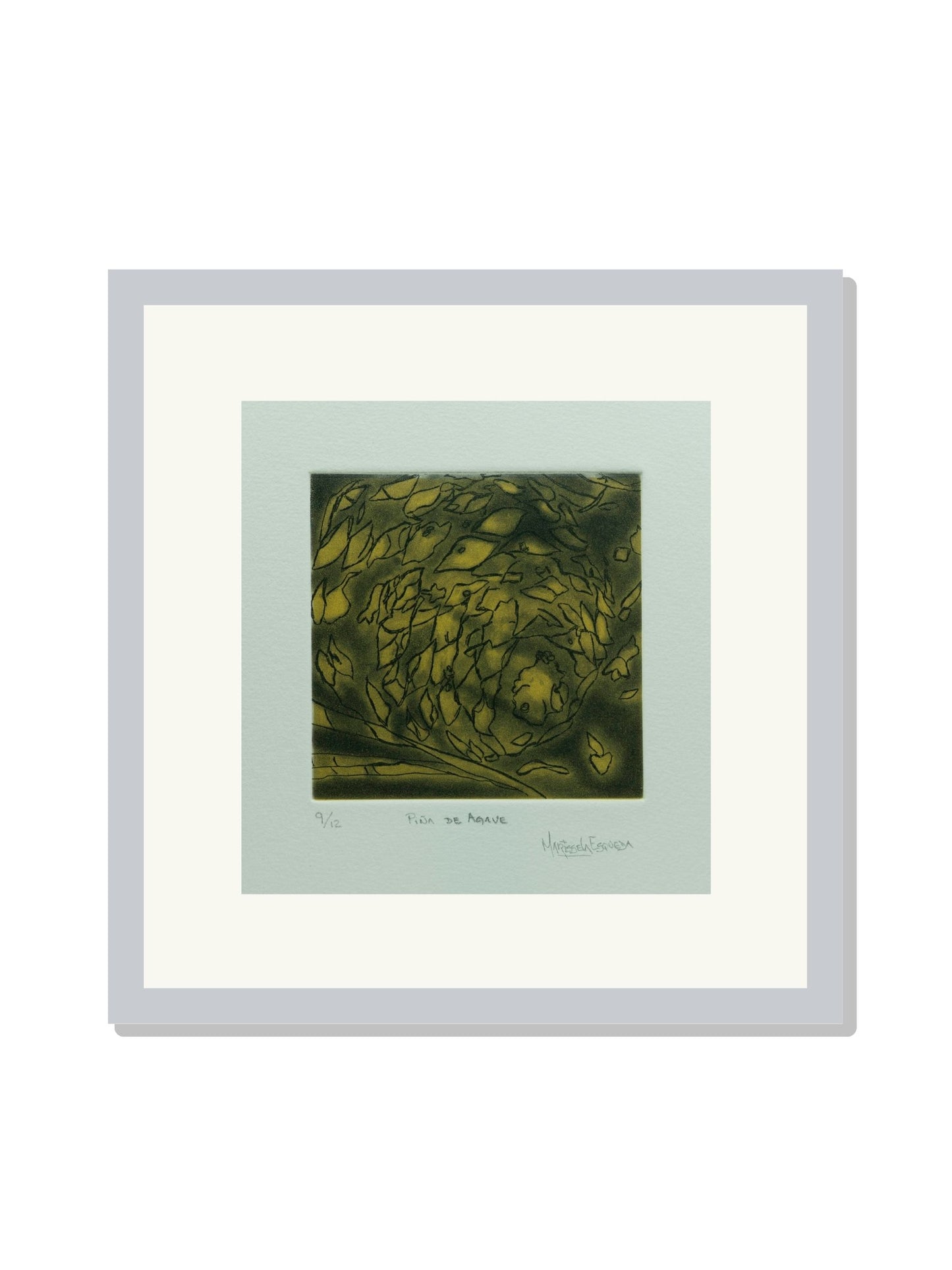 "Piña de agave"