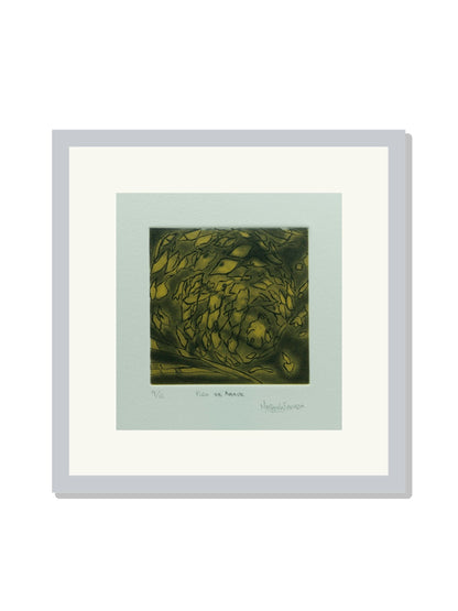 "Piña de agave"