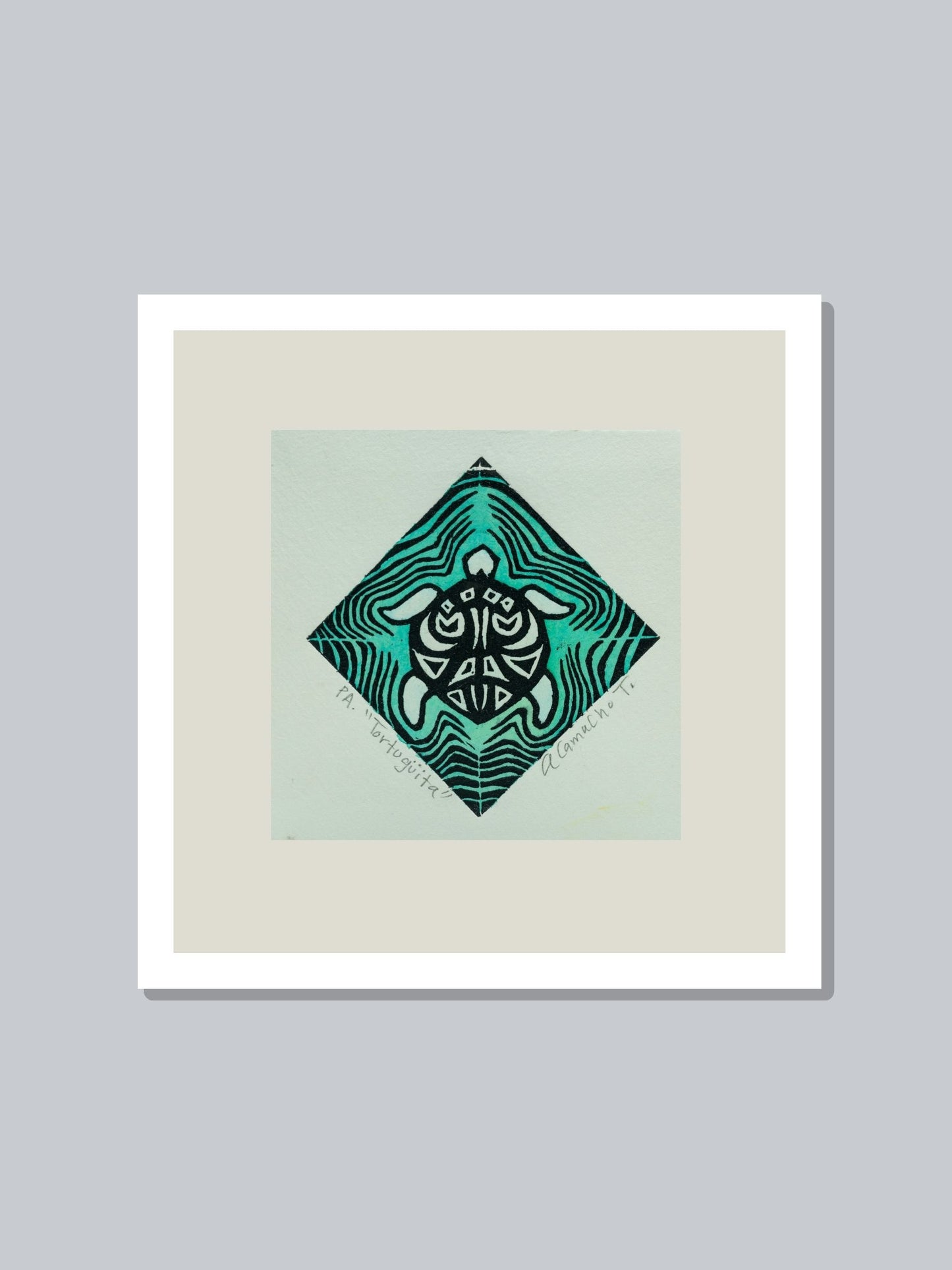 "Tortuguita" Color turquesa
