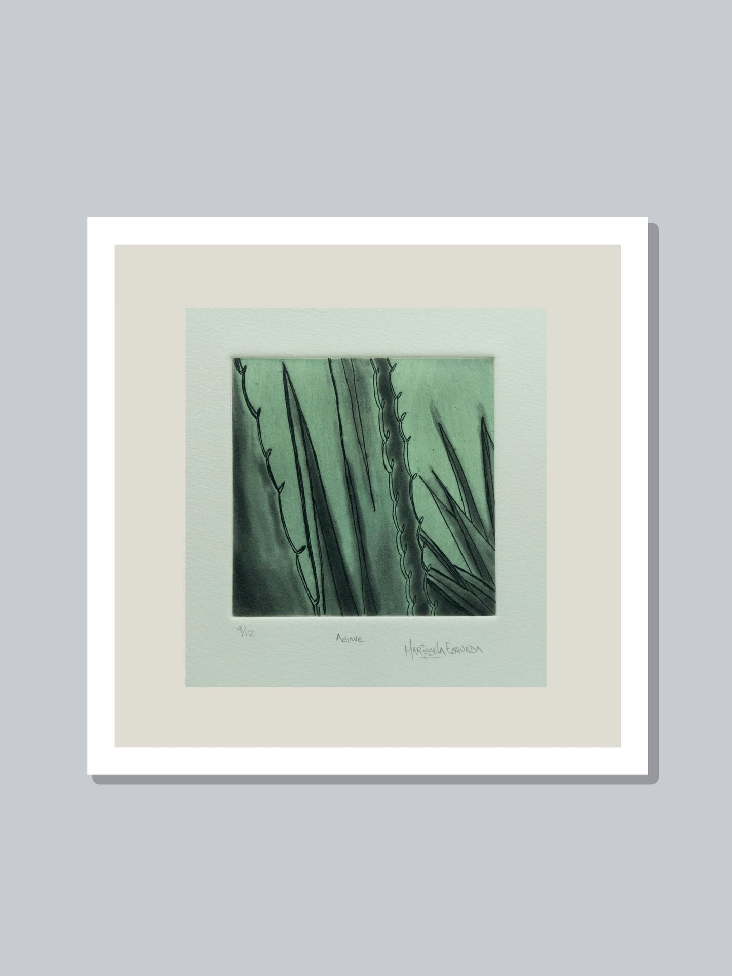"Agave"
