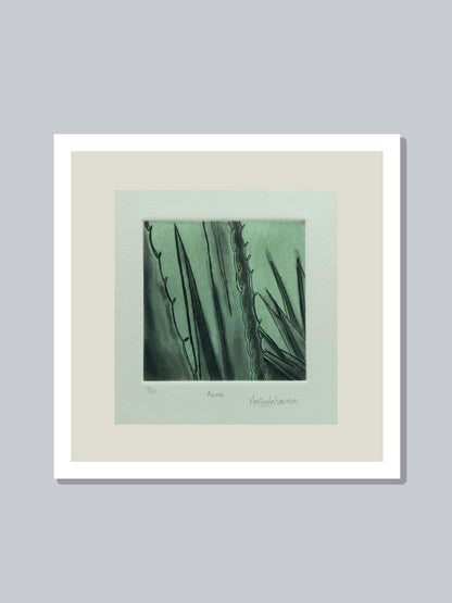 "Agave"