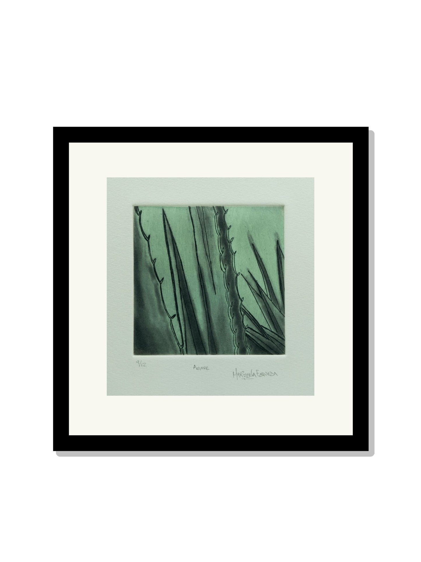 "Agave"