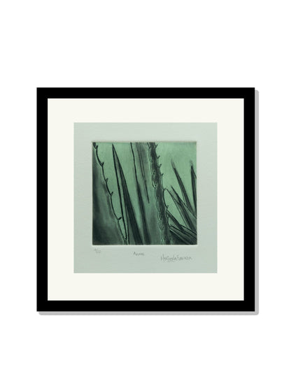 "Agave"