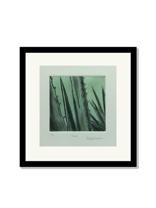 "Agave"