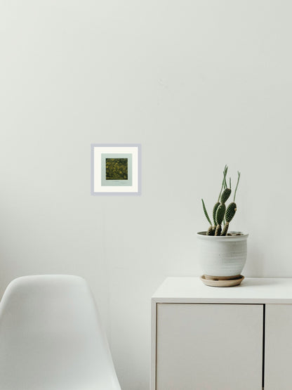"Piña de agave"