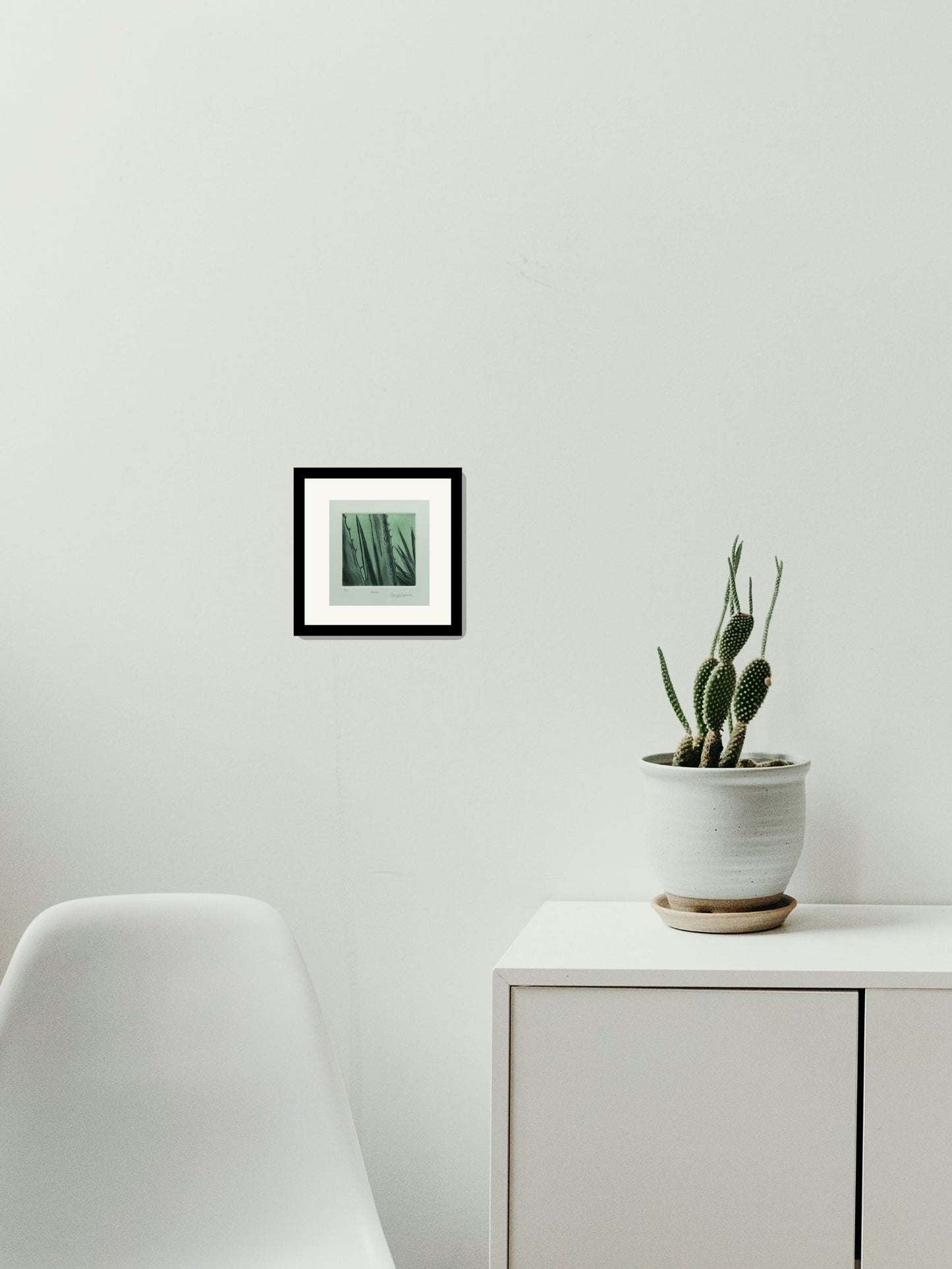 "Agave"
