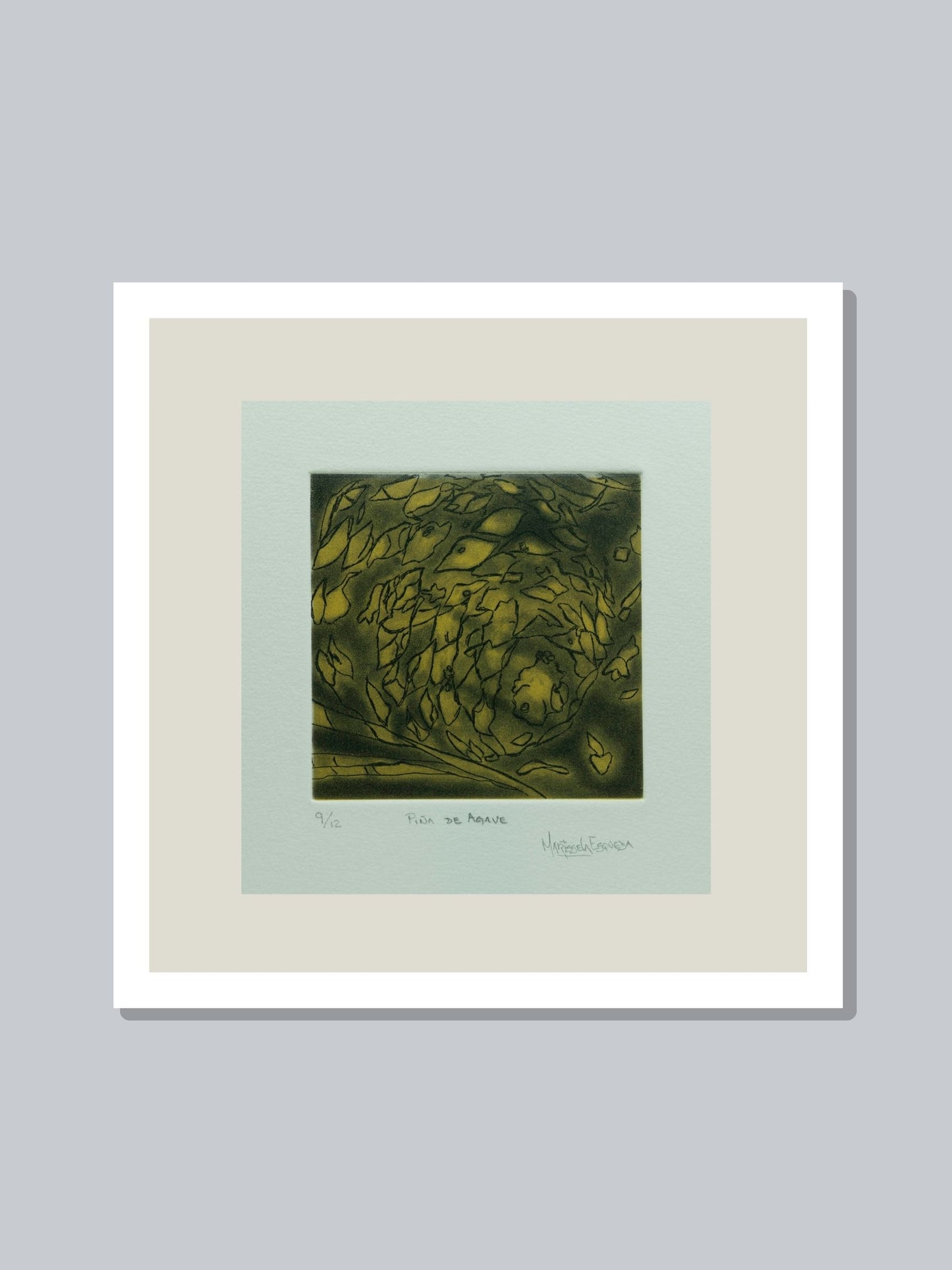 "Piña de agave"