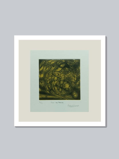 "Piña de agave"