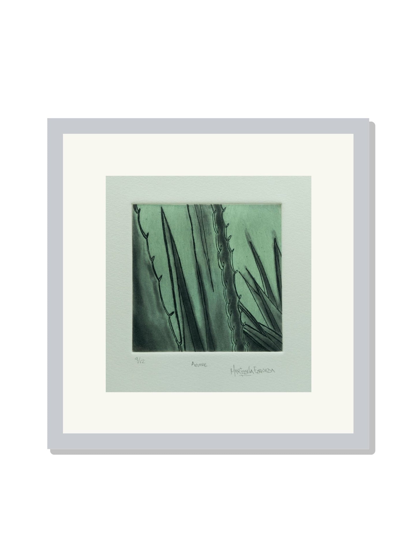 "Agave"