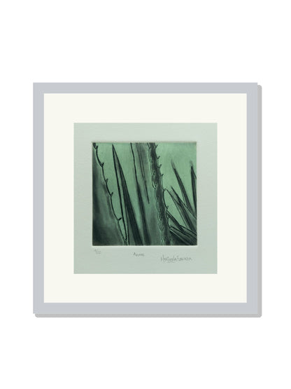 "Agave"