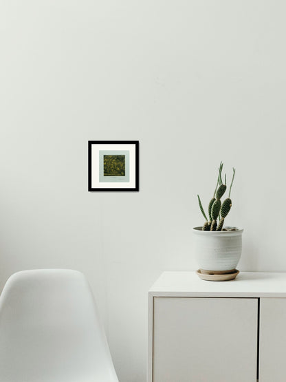 "Piña de agave"