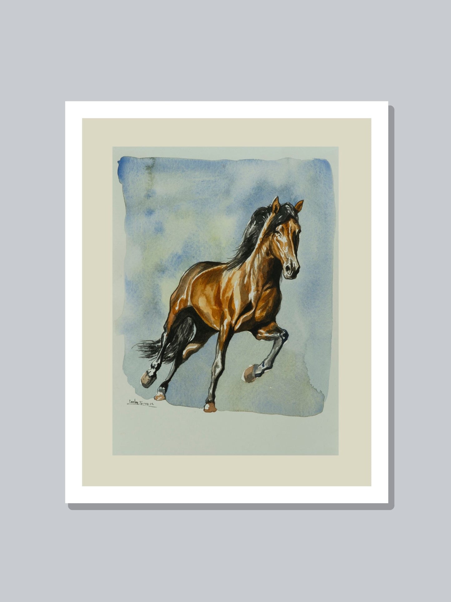 "Caballo"
