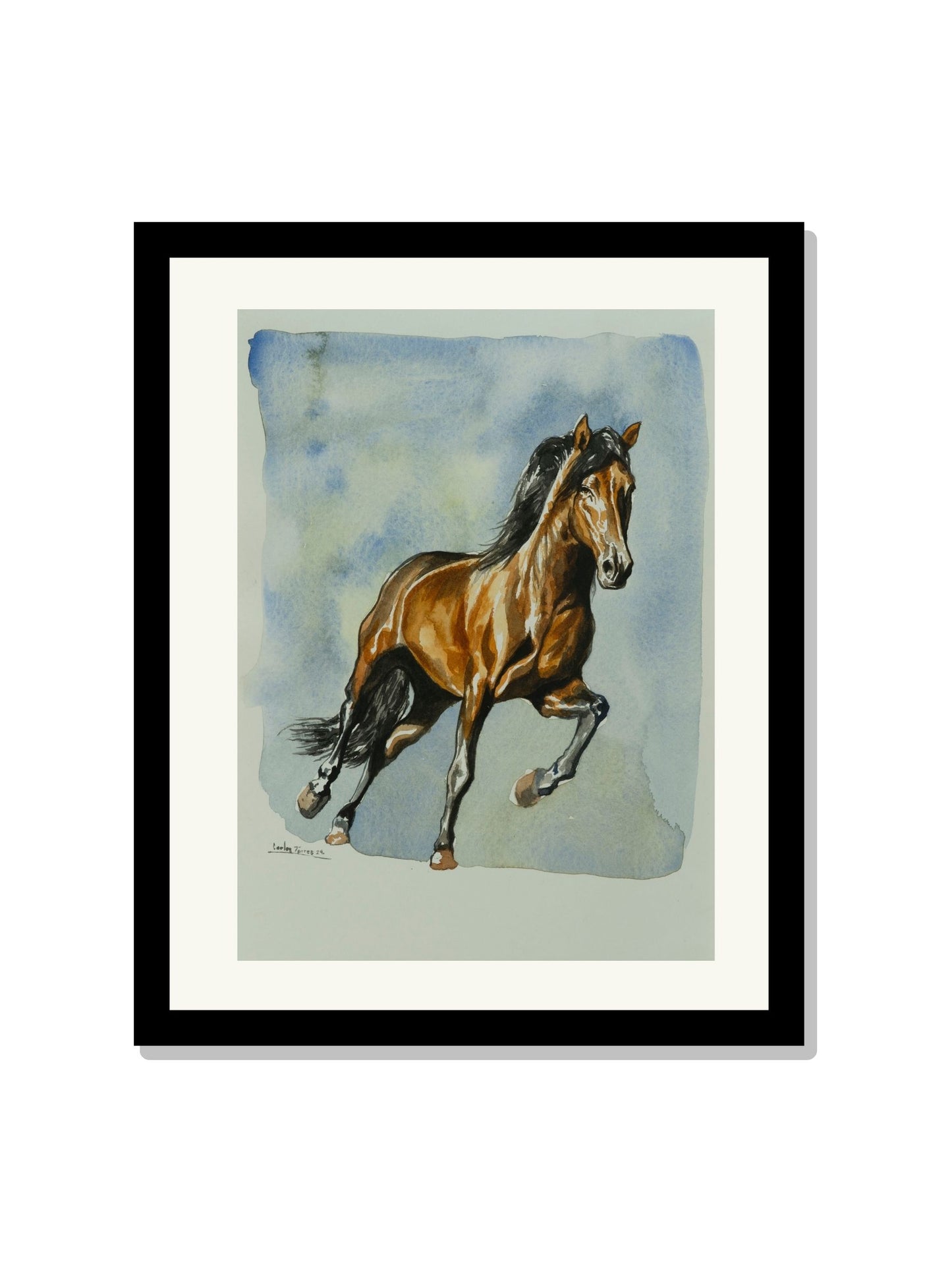 "Caballo"