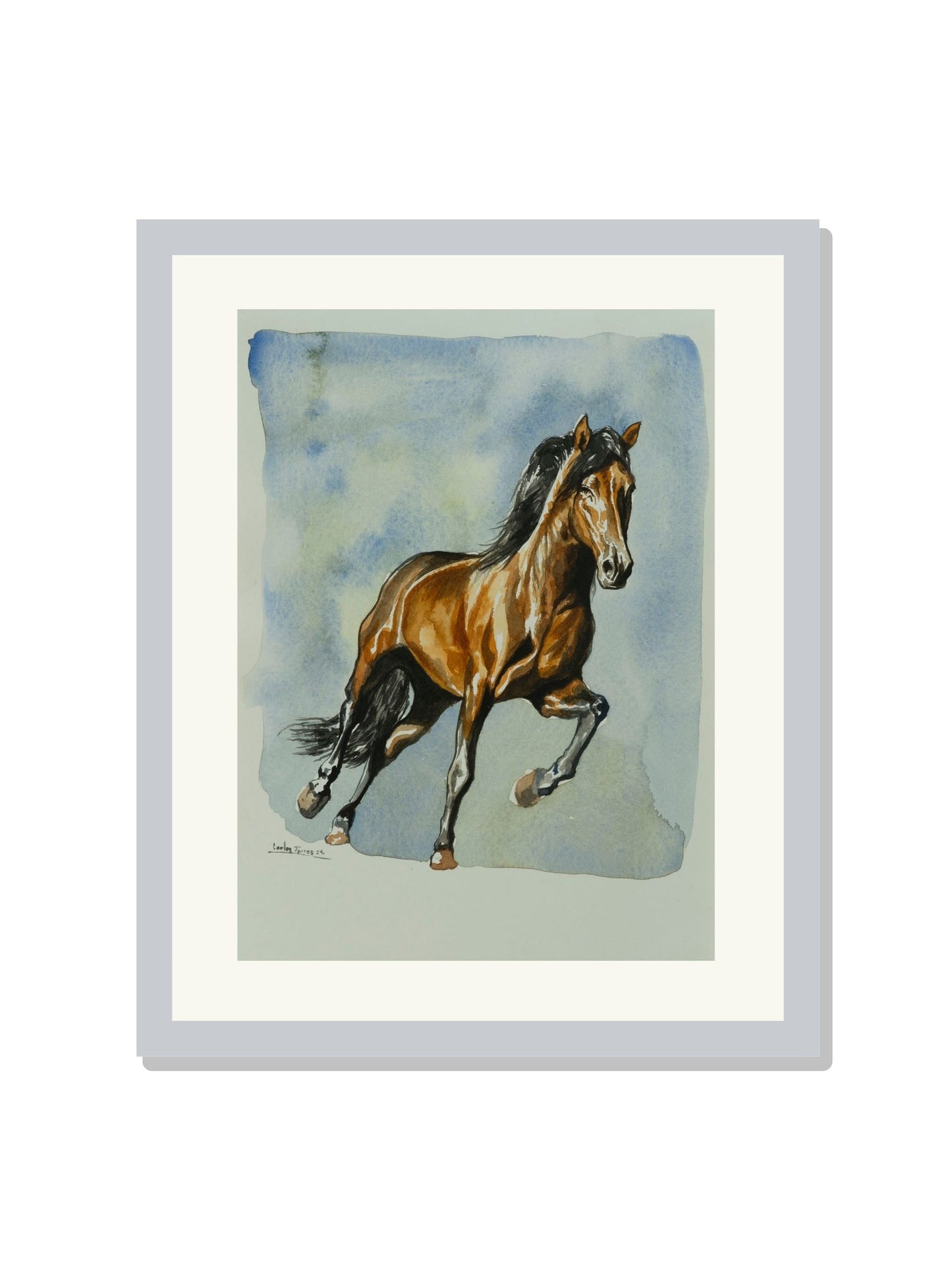 "Caballo"