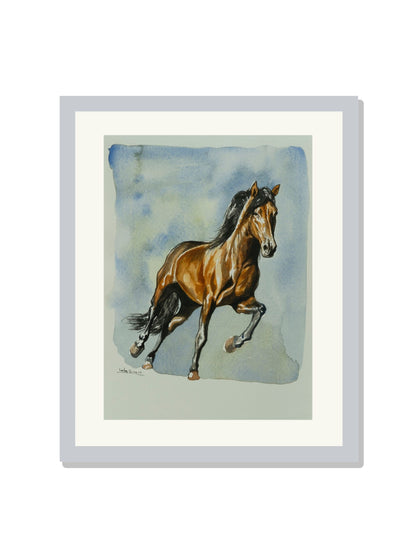 "Caballo"