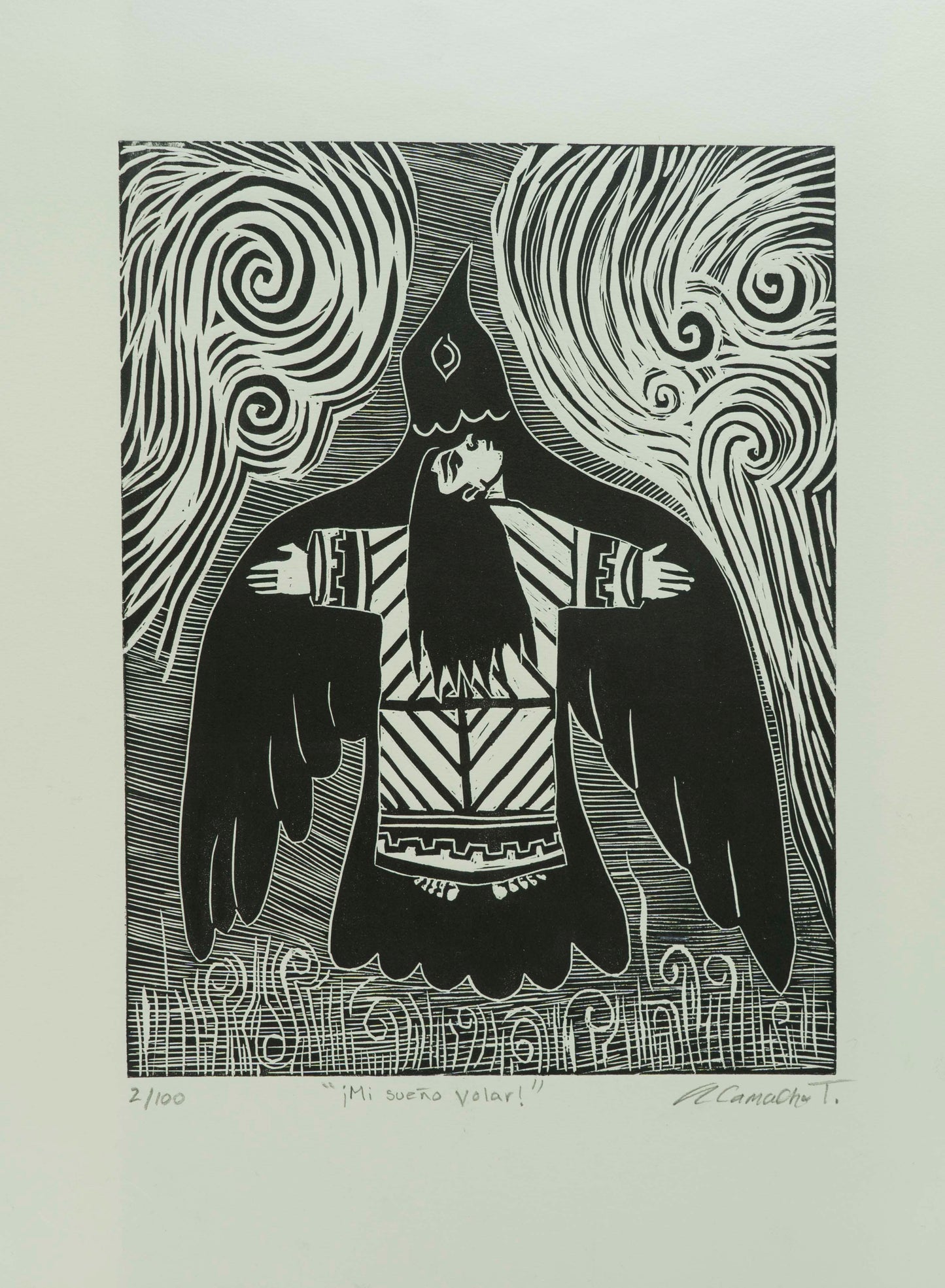 "Mi sueño volar"