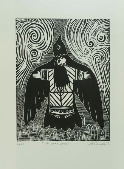 "Mi sueño volar"