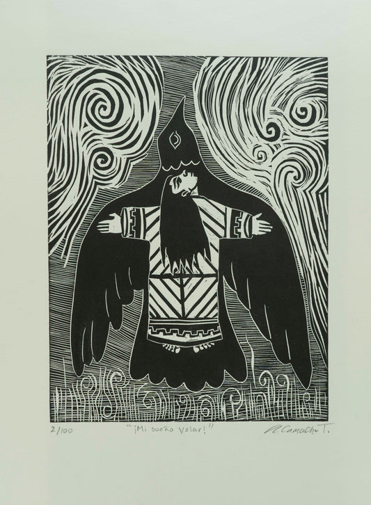 "Mi sueño volar"