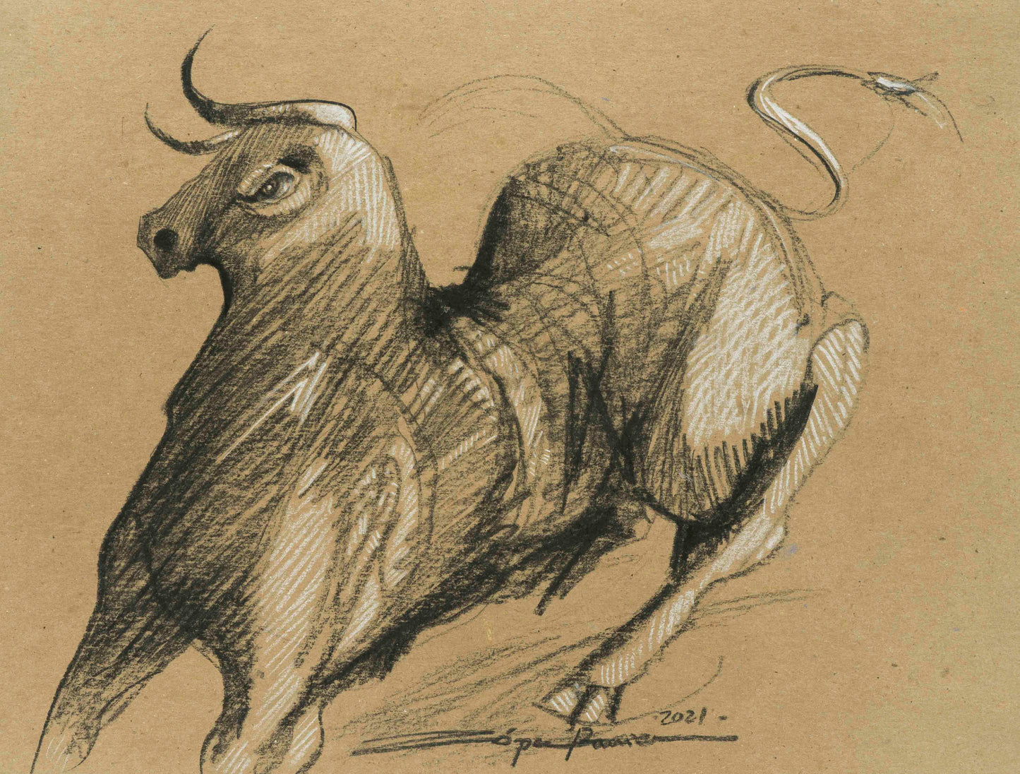 "Toro"