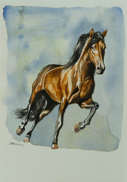 "Caballo"