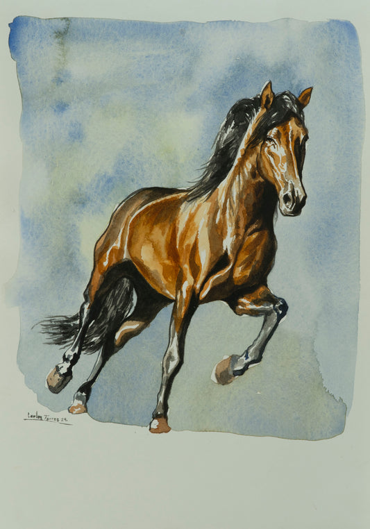 "Caballo"