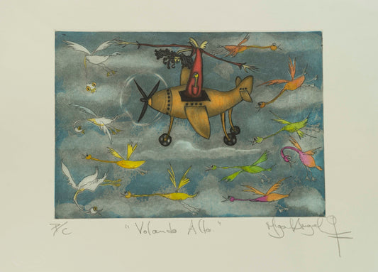 "Volando Alto" Colores