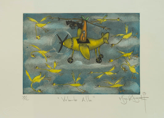 "Volando Alto" Patos amarillos