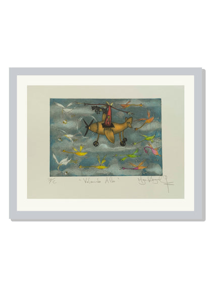 "Volando Alto" Colores