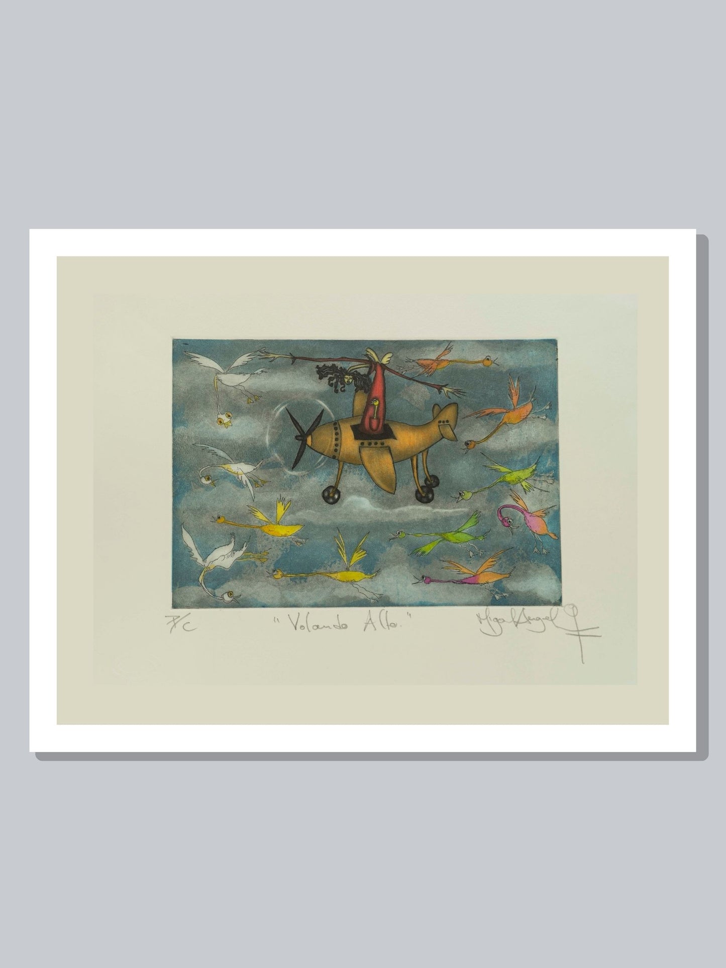 "Volando Alto" Colores