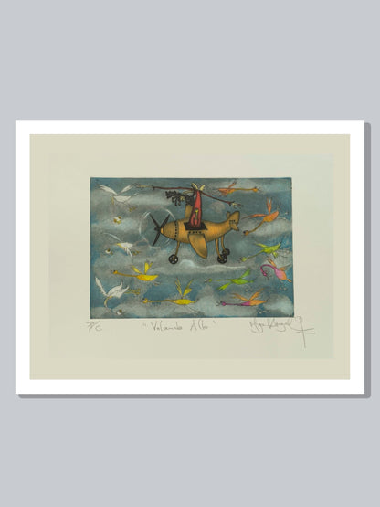 "Volando Alto" Colores