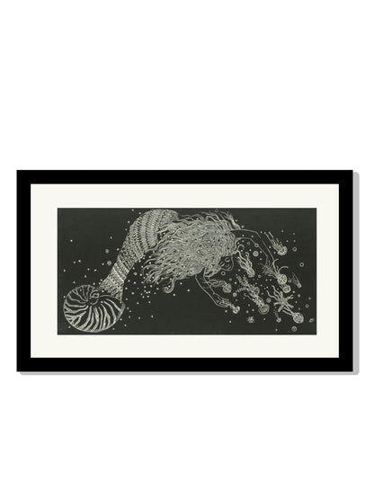 "La sirena que se enamora de las medusas"