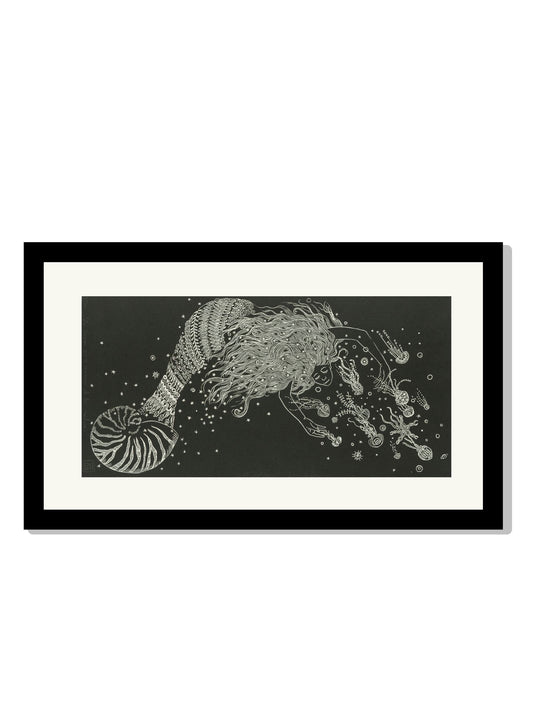 "La sirena que se enamora de las medusas"