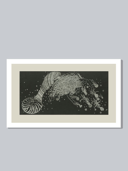 "La sirena que se enamora de las medusas"