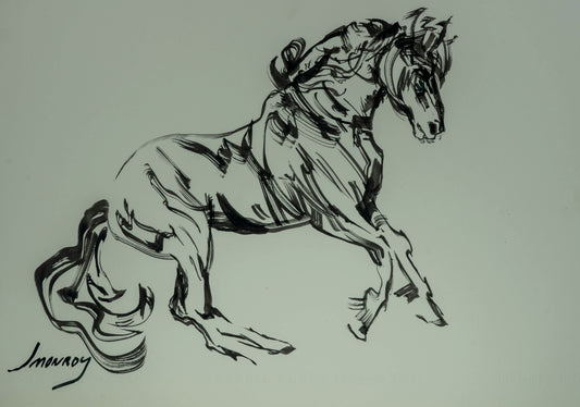 "Caballo V"
