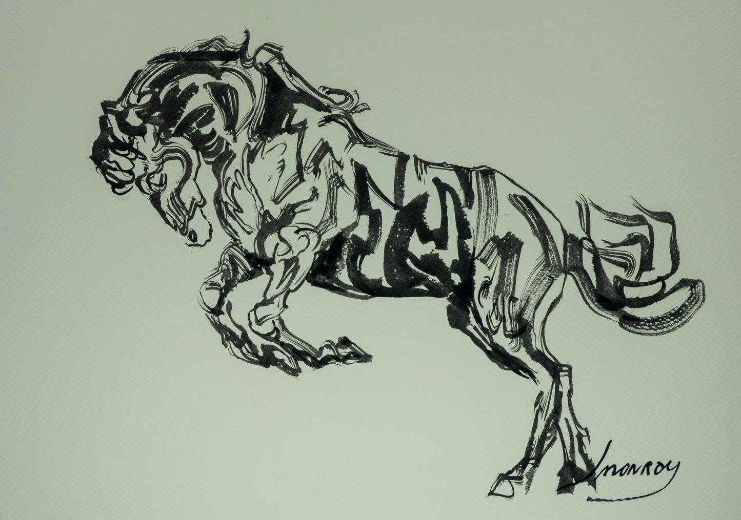 "Caballo X"