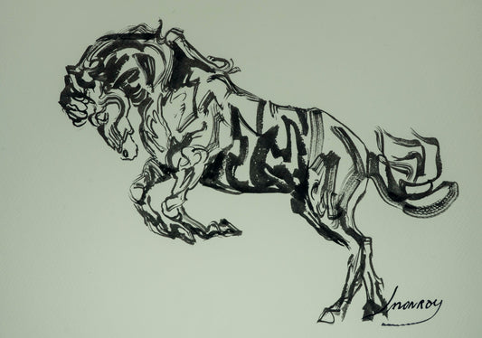 "Caballo X"