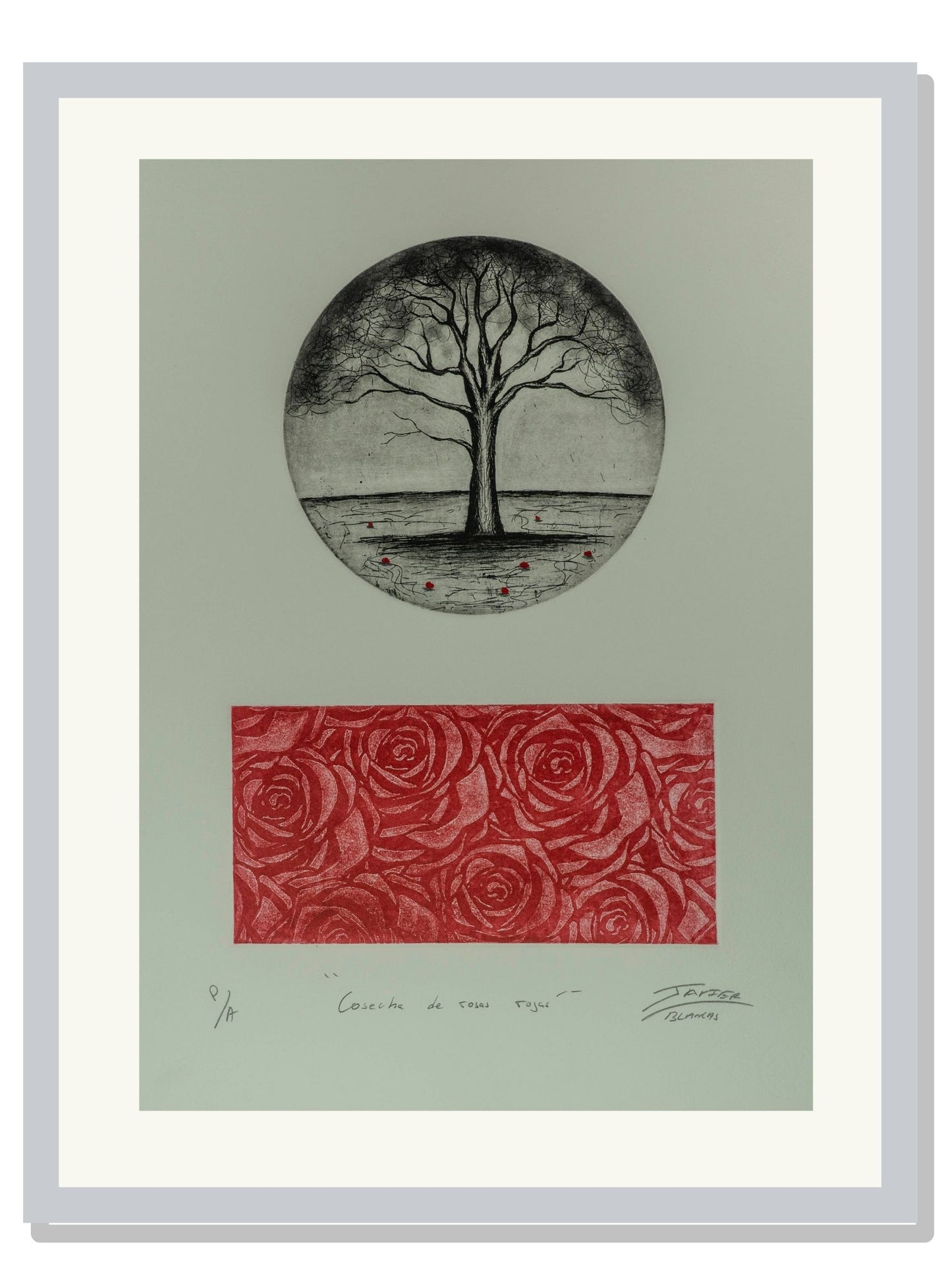 "Cosecha de rosas rojas"