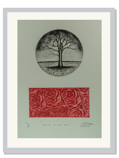 "Cosecha de rosas rojas"