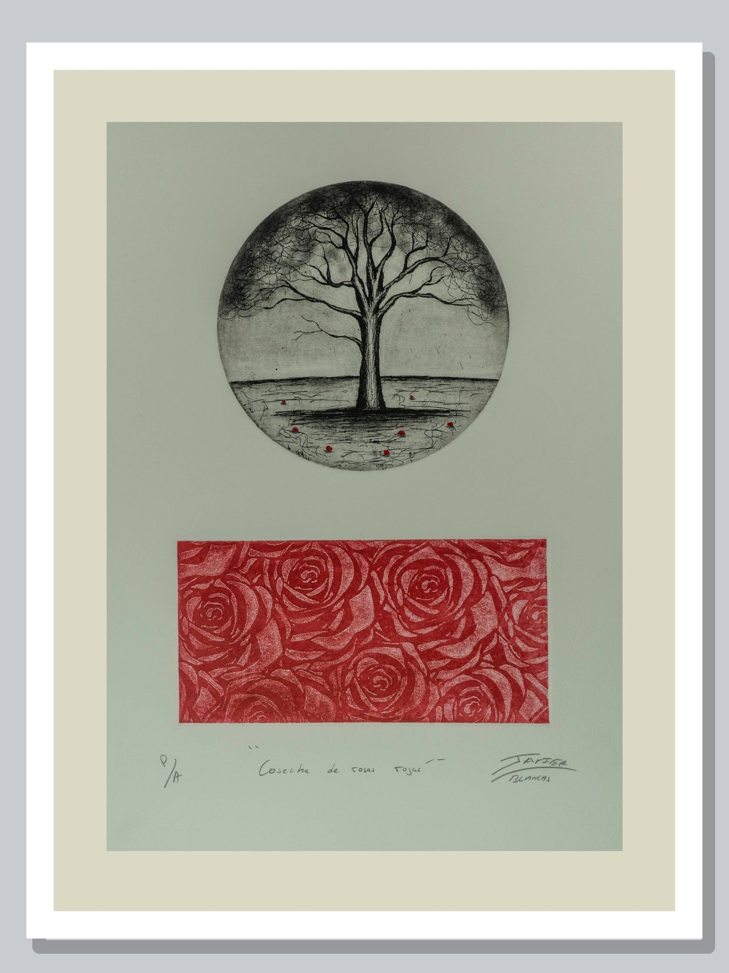 "Cosecha de rosas rojas"