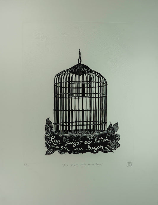 "Los pájaros están en su lugar"