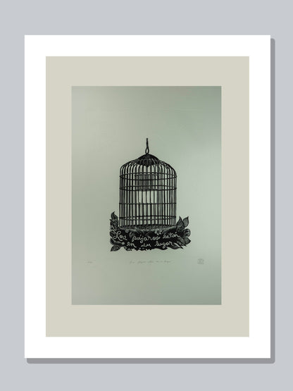 "Los pájaros están en su lugar"